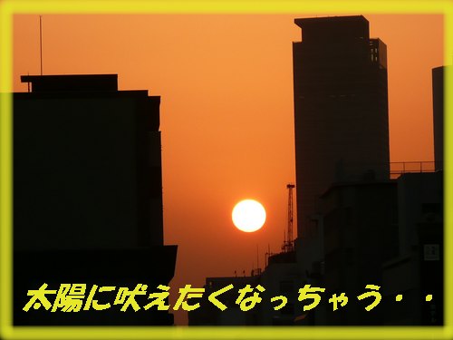 c0009528_22205559.jpg