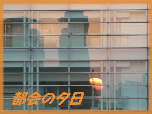 c0009528_22212357.jpg