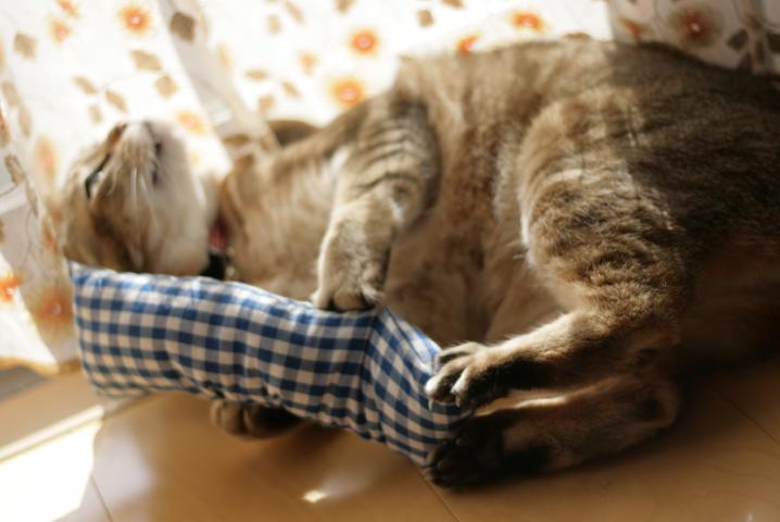 f0055228_2051191.jpg