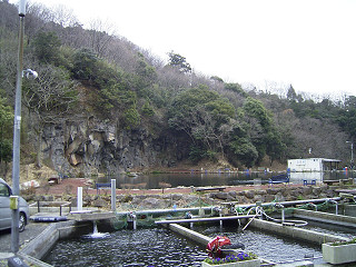 f0065341_0364373.jpg