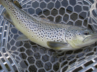 f0065341_0405530.jpg
