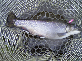 f0065341_0441140.jpg
