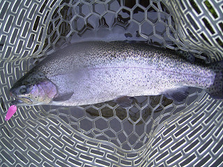 f0065341_0442798.jpg