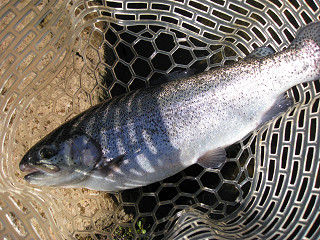 f0065341_0453131.jpg
