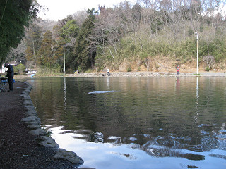 f0065341_0472572.jpg