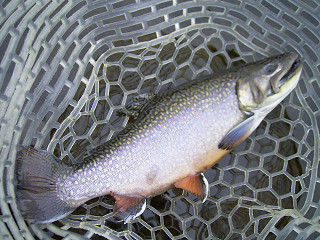 f0065341_0552254.jpg