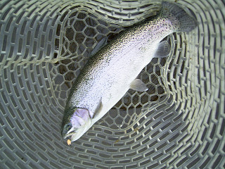 f0065341_0555824.jpg