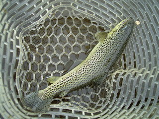f0065341_056194.jpg