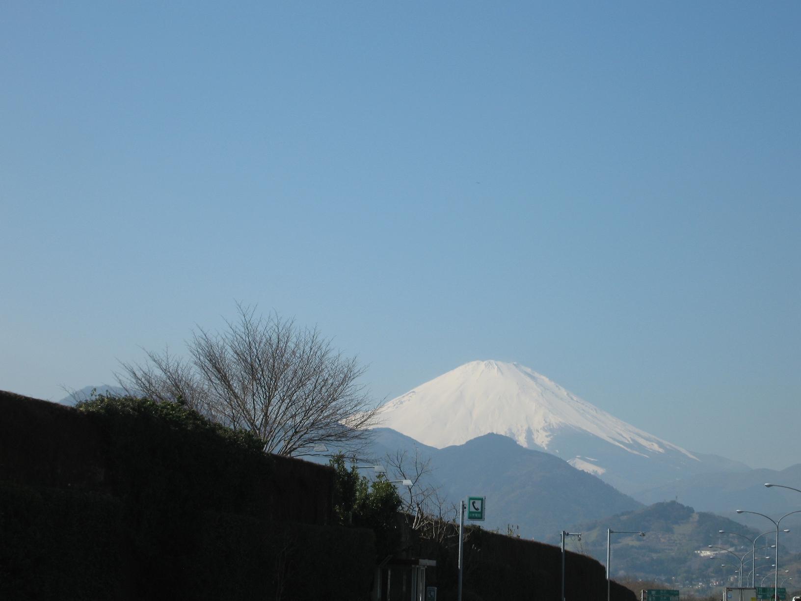 f0154041_23424258.jpg