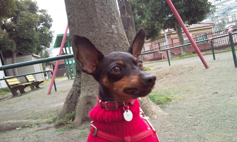e0150843_17193119.jpg