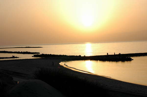 a0082146_165823.jpg