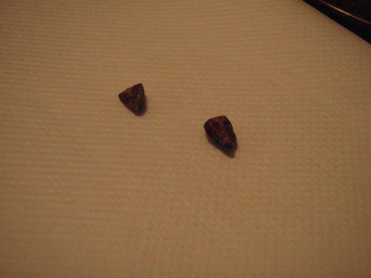 c0190847_23111774.jpg