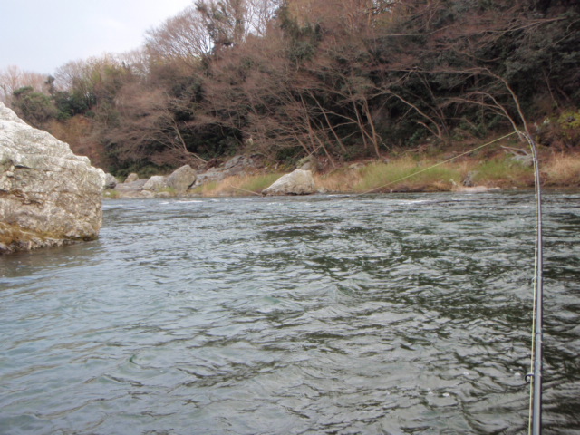 f0168947_1227690.jpg