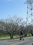 e0175148_417337.jpg