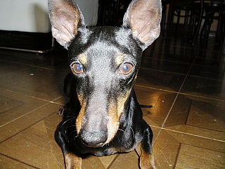 c0123149_1234569.jpg