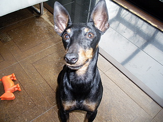 c0123149_1235196.jpg