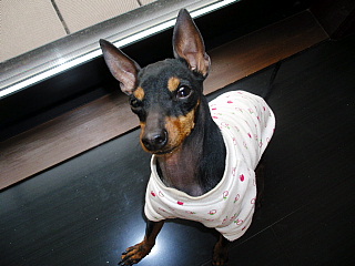 c0123149_12354586.jpg