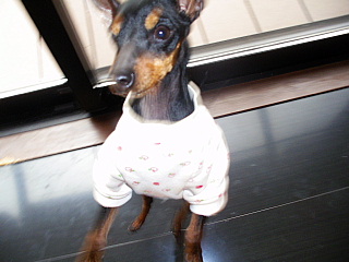 c0123149_1238226.jpg