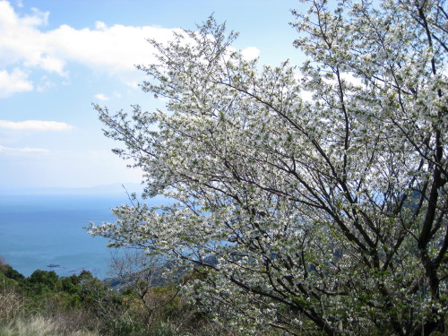 c0179351_21175970.jpg