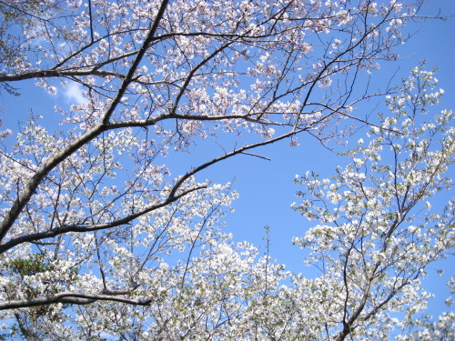 c0179351_2119116.jpg