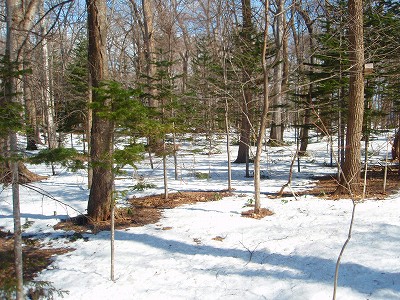 e0004756_8401336.jpg