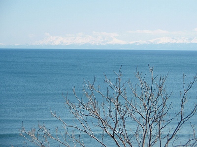 e0004756_8405040.jpg