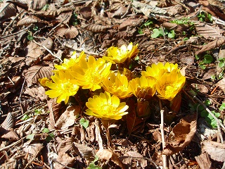 e0004756_846192.jpg