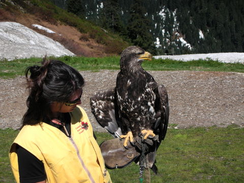e0176457_104784.jpg