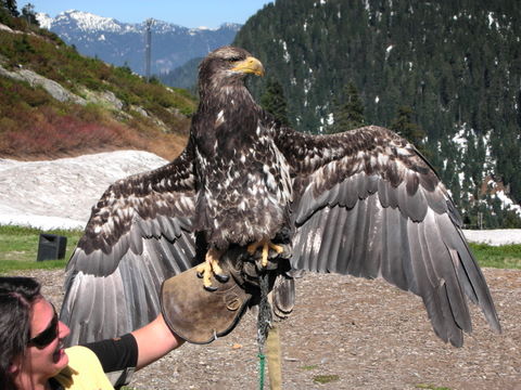 e0176457_1052177.jpg