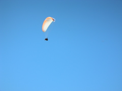 e0176457_958323.jpg