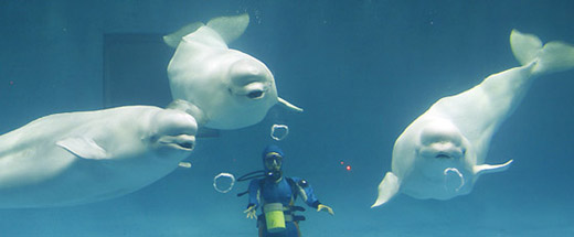c0183660_22311361.jpg