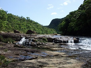 a0104162_2115779.jpg