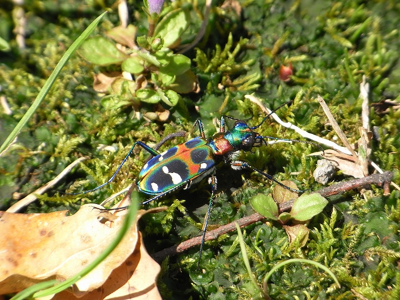 c0142963_0584078.jpg