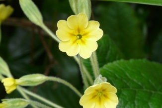 f0195963_1635016.jpg