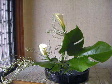 e0086864_23393982.jpg