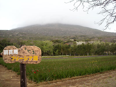 e0097770_23214266.jpg