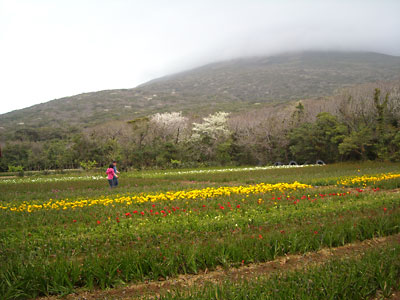 e0097770_23222115.jpg