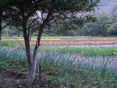 e0097770_23224138.jpg