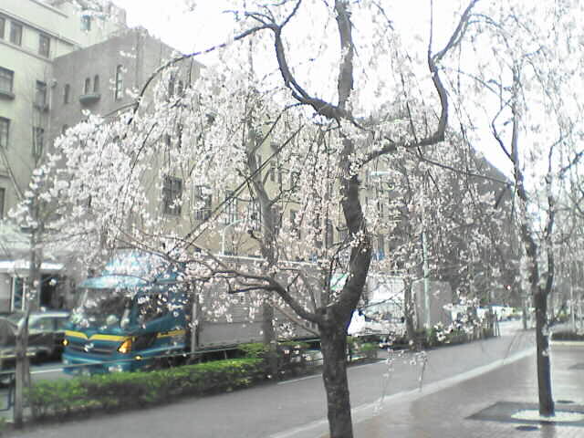 c0069380_1343497.jpg