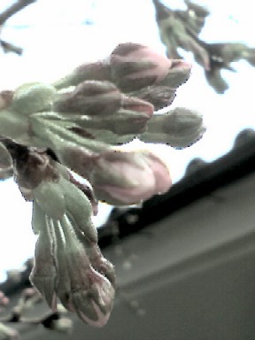 f0039281_23363371.jpg