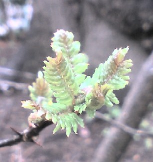 f0039281_23374265.jpg