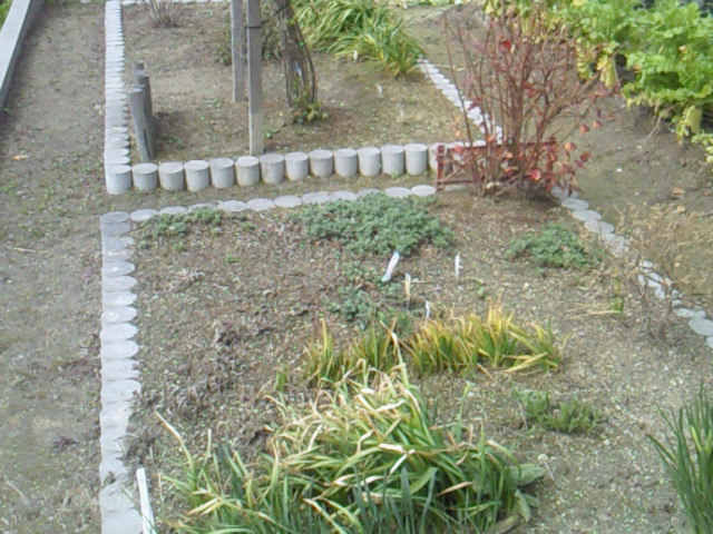e0176785_19414641.jpg