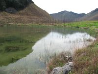 f0053885_2142579.jpg