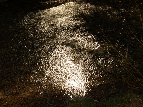b0167990_2234583.jpg