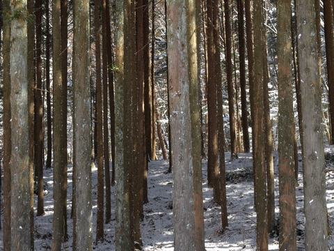 b0167990_22375111.jpg