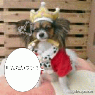 f0194591_2114587.gif