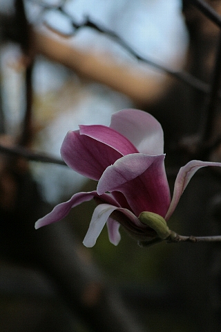 d0133693_1858261.jpg
