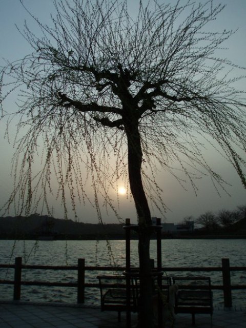 f0181295_15465711.jpg