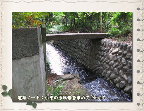 f0137096_19451295.jpg