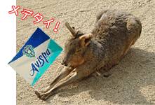 c0049601_1283258.gif